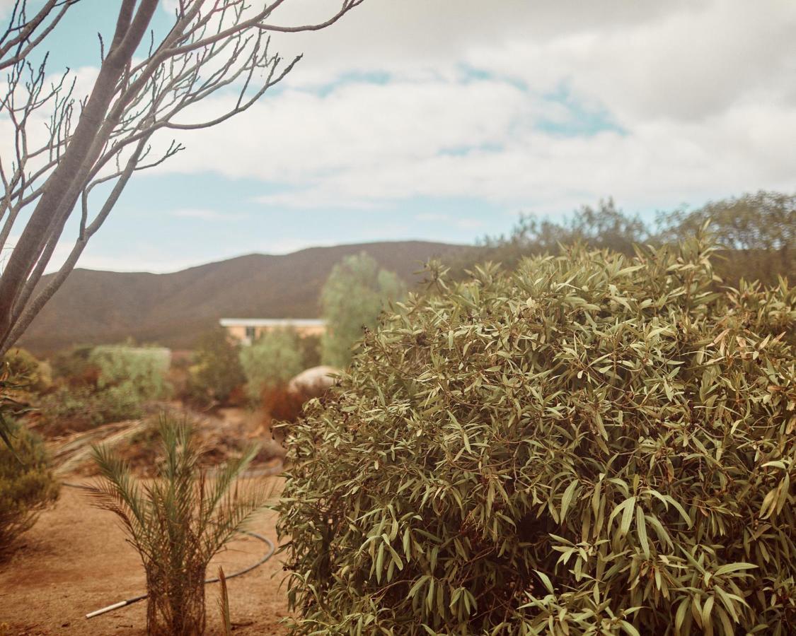 Villa Quinta Estrella Valle de Guadalupe Esterno foto